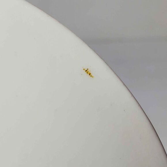 Victoria C&E Teacup and Saucer Narcissus White Flowers Vintage - Picture 6 of 10